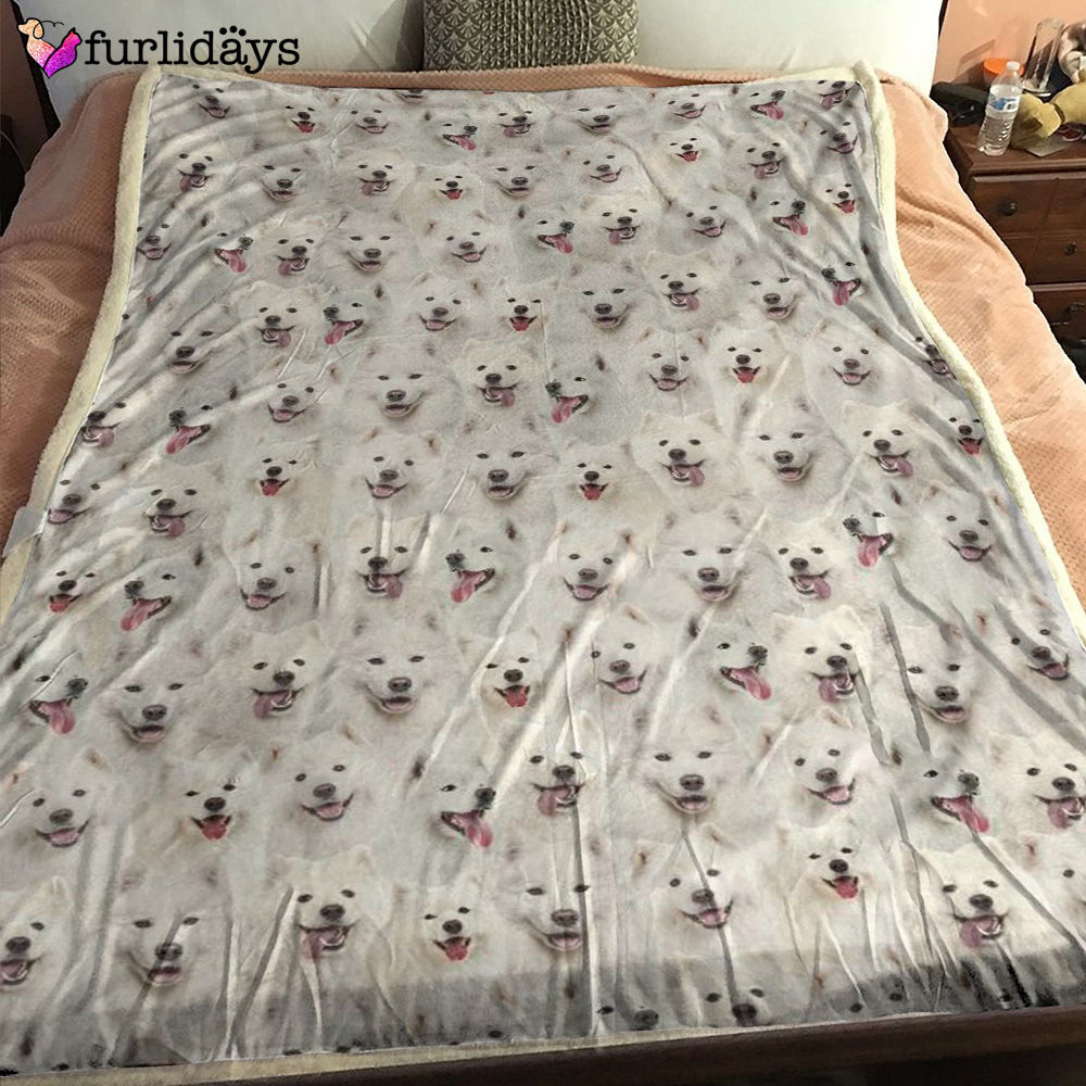 Dog Blanket Dog Face Blanket Dog Throw Blanket Samoyed Full Face Blanket Furlidays 1 Dog Blanket Dog Face Blanket Dog Throw Blanket Samoyed Full Face Blanket Furlidays 1