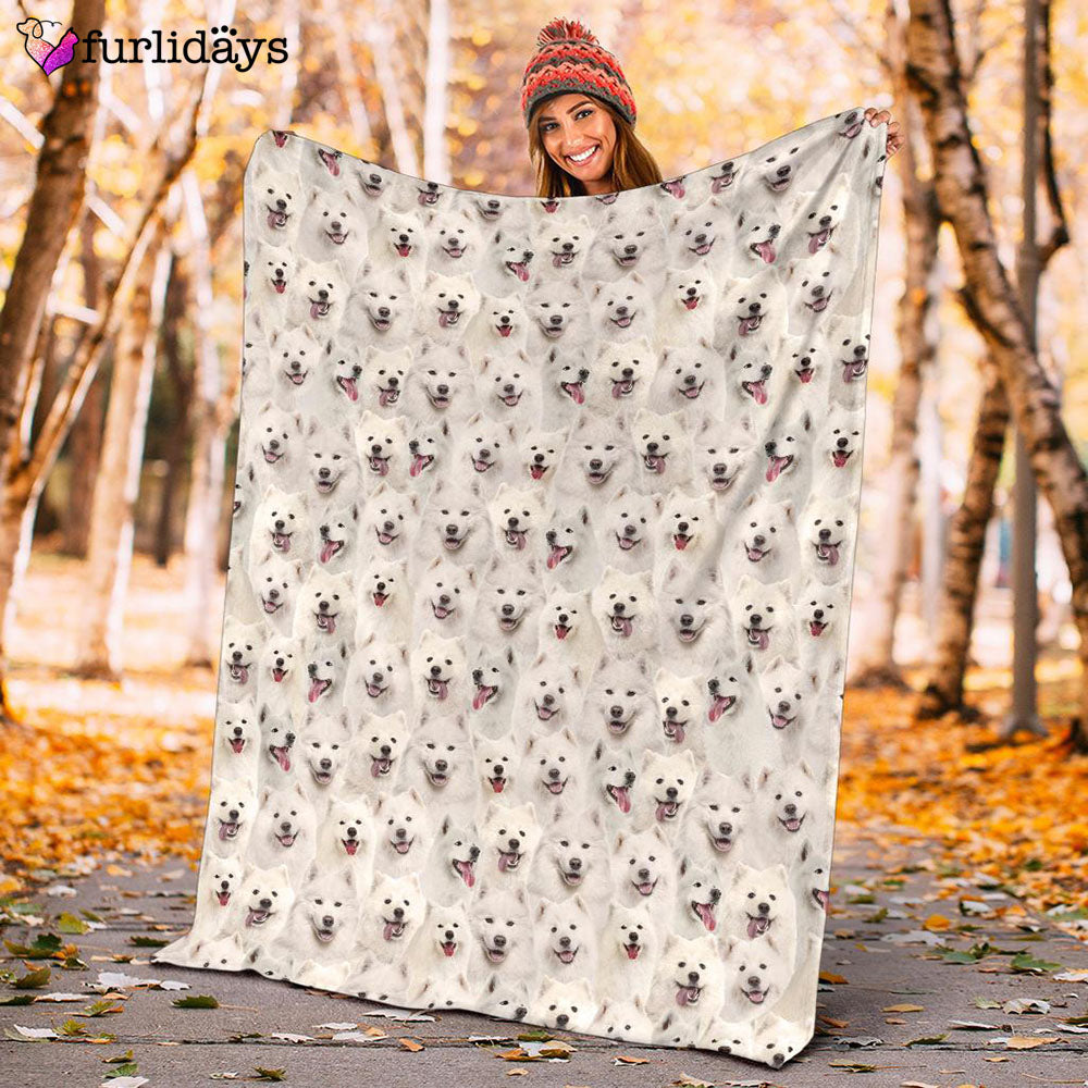 Dog Blanket Dog Face Blanket Dog Throw Blanket Samoyed Full Face Blanket Furlidays 10 Dog Blanket Dog Face Blanket Dog Throw Blanket Samoyed Full Face Blanket Furlidays 10