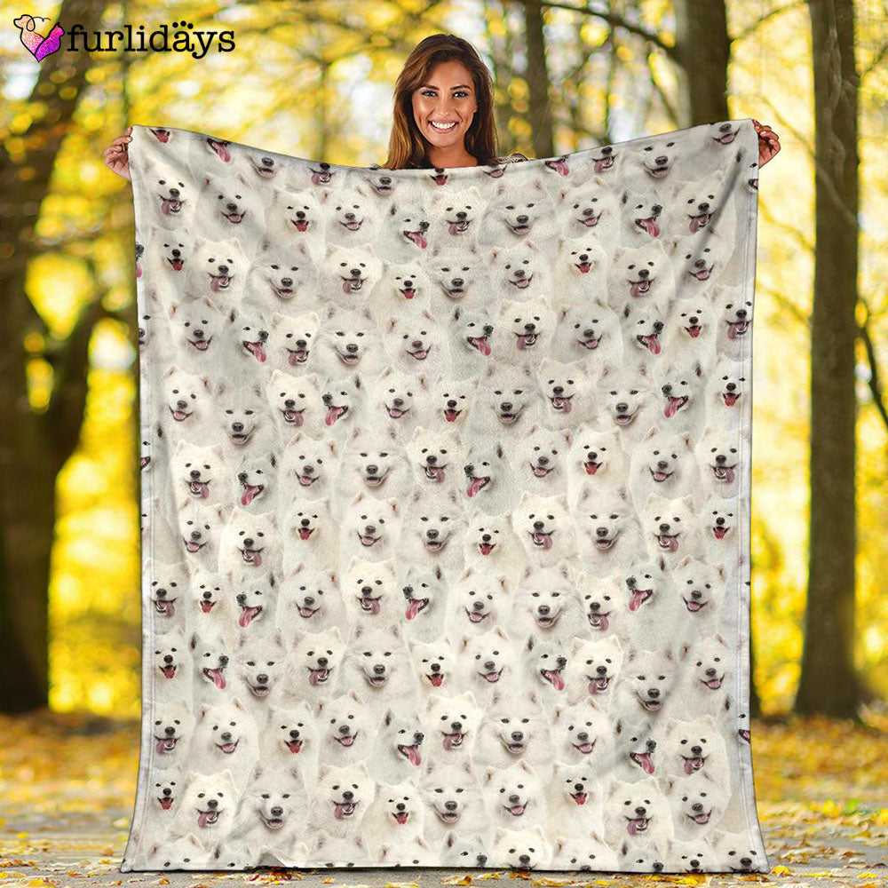 Dog Blanket Dog Face Blanket Dog Throw Blanket Samoyed Full Face Blanket Furlidays 2 Dog Blanket Dog Face Blanket Dog Throw Blanket Samoyed Full Face Blanket Furlidays 2