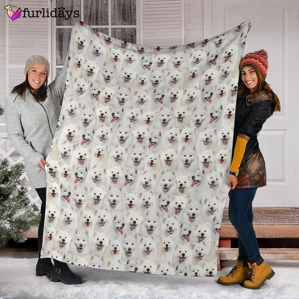 Dog Blanket Dog Face Blanket Dog Throw Blanket Samoyed Full Face Blanket Furlidays 3 Dog Blanket Dog Face Blanket Dog Throw Blanket Samoyed Full Face Blanket Furlidays 3