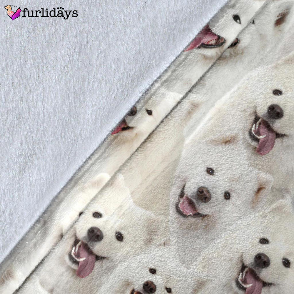 Dog Blanket Dog Face Blanket Dog Throw Blanket Samoyed Full Face Blanket Furlidays 5 Dog Blanket Dog Face Blanket Dog Throw Blanket Samoyed Full Face Blanket Furlidays 5