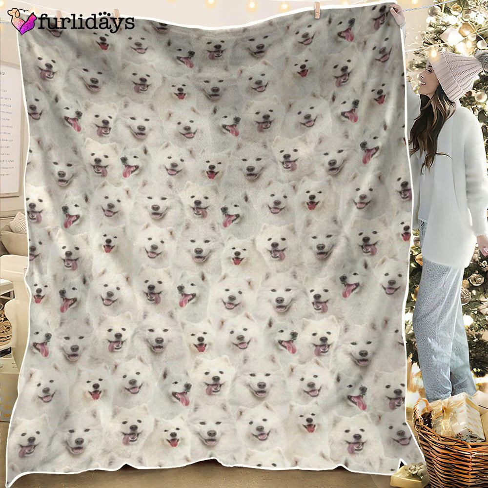 Dog Blanket Dog Face Blanket Dog Throw Blanket Samoyed Full Face Blanket Furlidays 6 Dog Blanket Dog Face Blanket Dog Throw Blanket Samoyed Full Face Blanket Furlidays 6