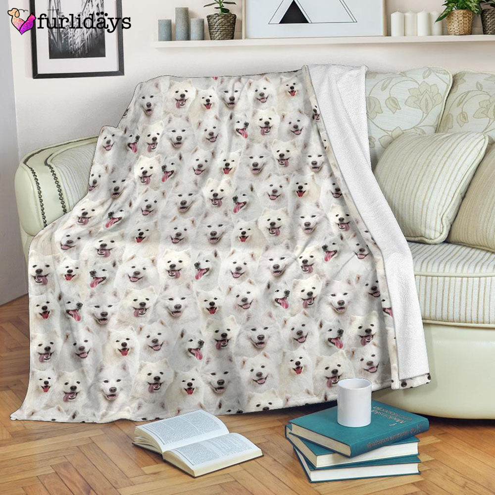 Dog Blanket Dog Face Blanket Dog Throw Blanket Samoyed Full Face Blanket Furlidays 7 Dog Blanket Dog Face Blanket Dog Throw Blanket Samoyed Full Face Blanket Furlidays 7