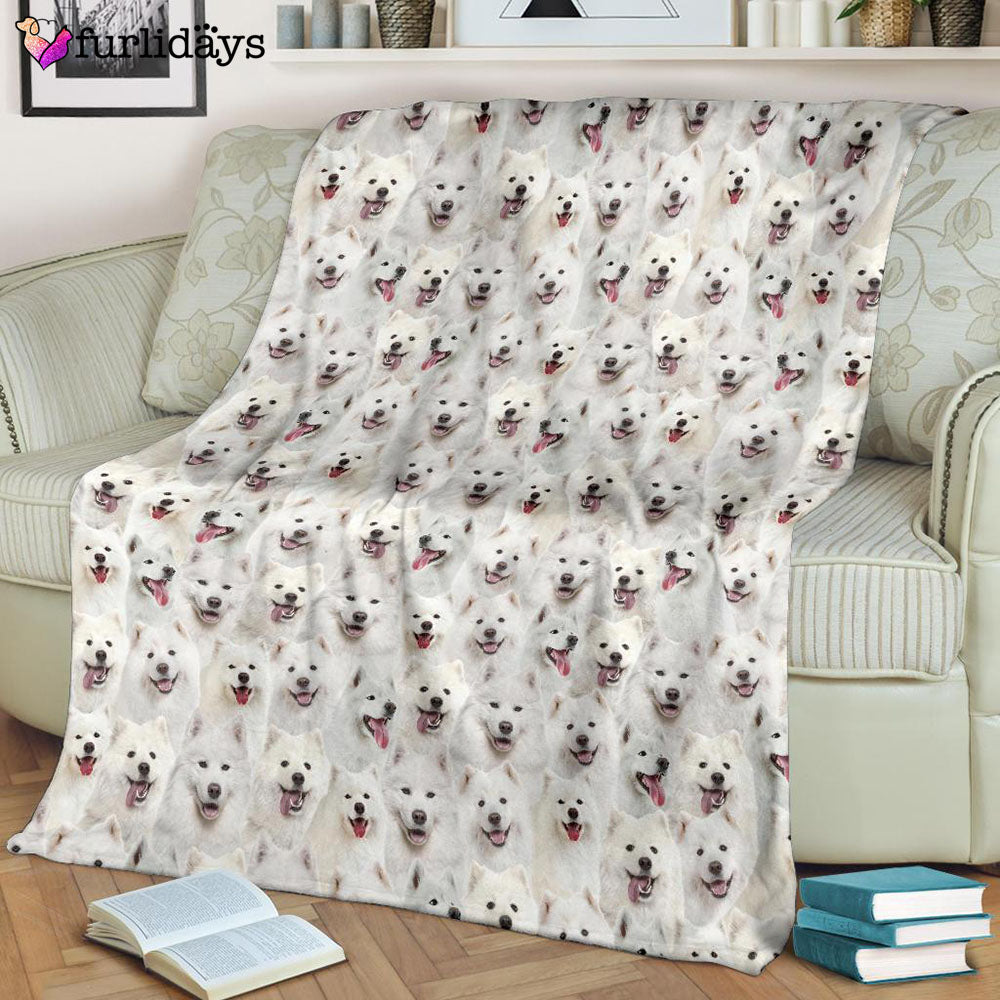 Dog Blanket Dog Face Blanket Dog Throw Blanket Samoyed Full Face Blanket Furlidays 8 Dog Blanket Dog Face Blanket Dog Throw Blanket Samoyed Full Face Blanket Furlidays 8