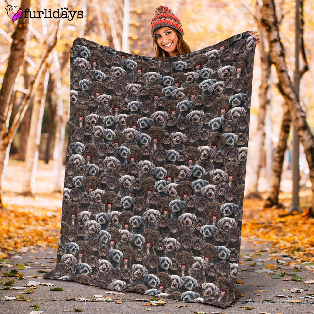 Dog Blanket Dog Face Blanket Dog Throw Blanket Schnoodle Full Face Blanket Furlidays 10 Dog Blanket Dog Face Blanket Dog Throw Blanket Schnoodle Full Face Blanket Furlidays 10