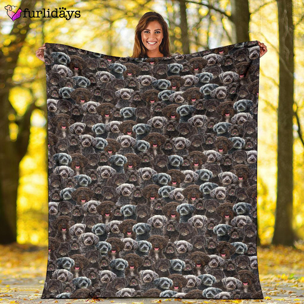 Dog Blanket Dog Face Blanket Dog Throw Blanket Schnoodle Full Face Blanket Furlidays 2 Dog Blanket Dog Face Blanket Dog Throw Blanket Schnoodle Full Face Blanket Furlidays 2
