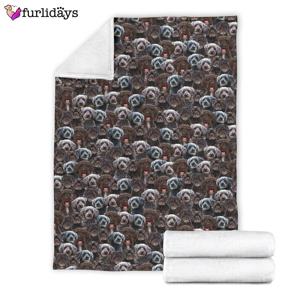 Dog Blanket Dog Face Blanket Dog Throw Blanket Schnoodle Full Face Blanket Furlidays 4 Dog Blanket Dog Face Blanket Dog Throw Blanket Schnoodle Full Face Blanket Furlidays 4