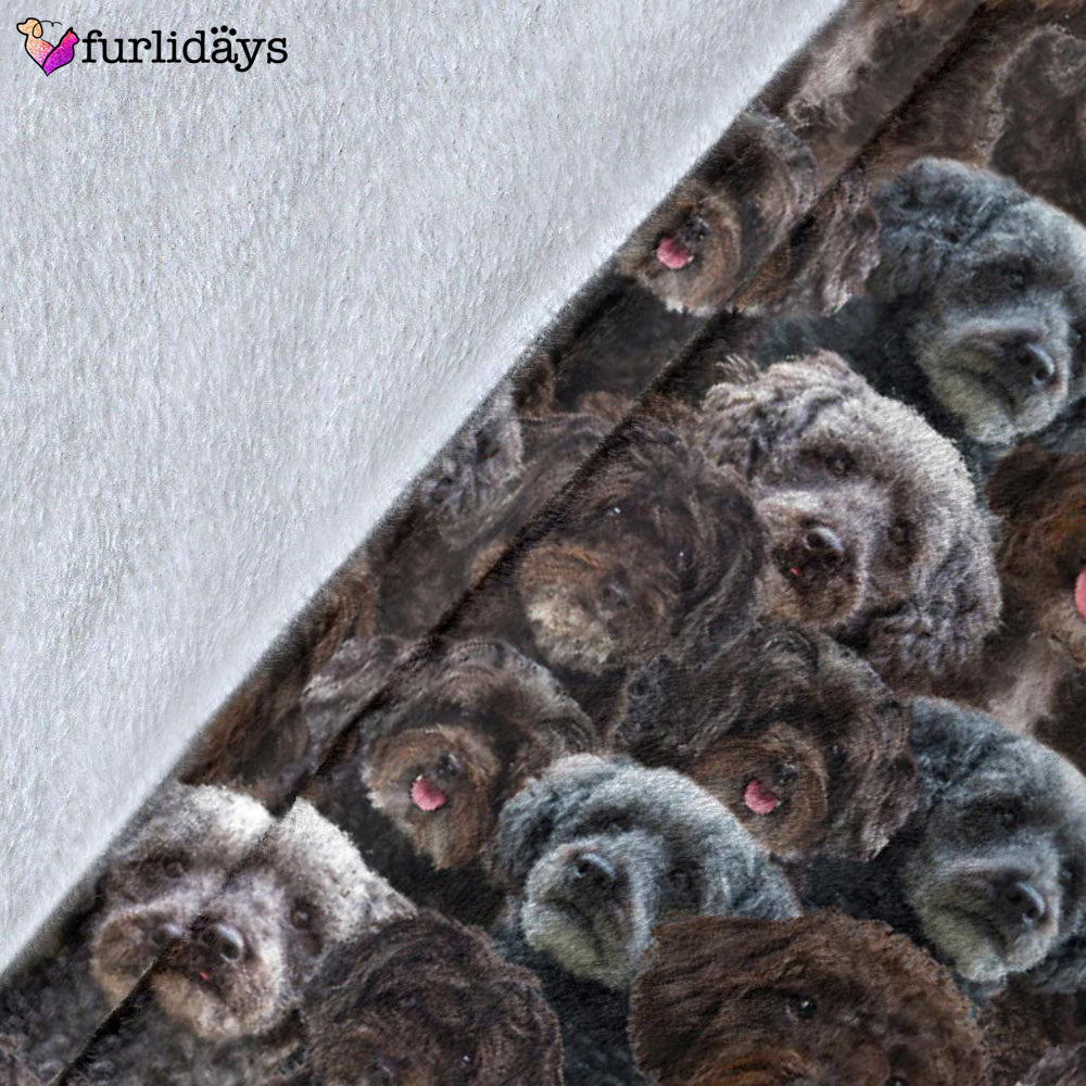 Dog Blanket Dog Face Blanket Dog Throw Blanket Schnoodle Full Face Blanket Furlidays 5 Dog Blanket Dog Face Blanket Dog Throw Blanket Schnoodle Full Face Blanket Furlidays 5