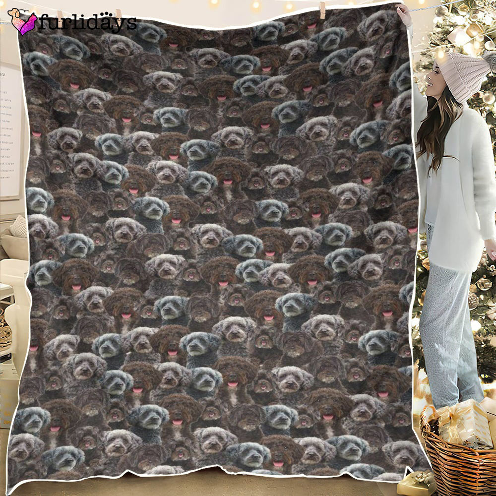 Dog Blanket Dog Face Blanket Dog Throw Blanket Schnoodle Full Face Blanket Furlidays 6 Dog Blanket Dog Face Blanket Dog Throw Blanket Schnoodle Full Face Blanket Furlidays 6