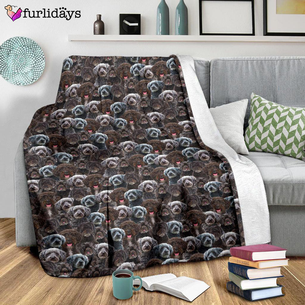 Dog Blanket Dog Face Blanket Dog Throw Blanket Schnoodle Full Face Blanket Furlidays 9 Dog Blanket Dog Face Blanket Dog Throw Blanket Schnoodle Full Face Blanket Furlidays 9