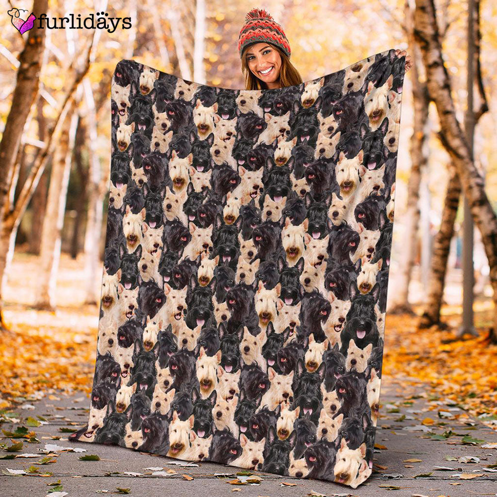 Dog Blanket Dog Face Blanket Dog Throw Blanket Scottish Terrier Full Face Blanket Furlidays 10 b8130dfb 85c7 403f 8178 5af5d68818c9 Dog Blanket Dog Face Blanket Dog Throw Blanket Scottish Terrier Full Face Blanket Furlidays 10 b8130dfb 85c7 403f 8178 5af5d68818c9