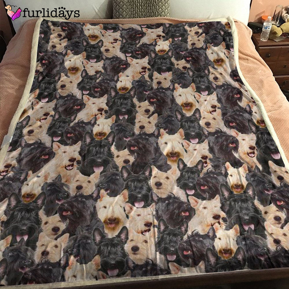 Dog Blanket Dog Face Blanket Dog Throw Blanket Scottish Terrier Full Face Blanket Furlidays 1 169509c7 986e 4568 a7af 5dabb39c47c2 Dog Blanket Dog Face Blanket Dog Throw Blanket Scottish Terrier Full Face Blanket Furlidays 1 169509c7 986e 4568 a7af 5dabb39c47c2