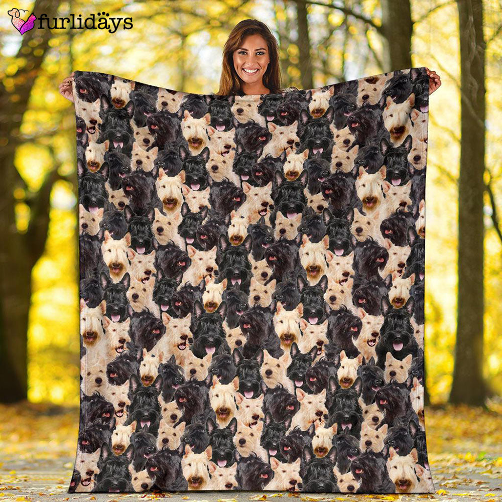 Dog Blanket Dog Face Blanket Dog Throw Blanket Scottish Terrier Full Face Blanket Furlidays 2 22f9a907 08d4 46e0 b2b0 9b282003dedf Dog Blanket Dog Face Blanket Dog Throw Blanket Scottish Terrier Full Face Blanket Furlidays 2 22f9a907 08d4 46e0 b2b0 9b282003dedf