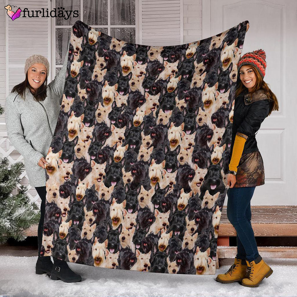 Dog Blanket Dog Face Blanket Dog Throw Blanket Scottish Terrier Full Face Blanket Furlidays 3 909e4b5f 1b3b 4c86 9f90 d372f4cb3d24 Dog Blanket Dog Face Blanket Dog Throw Blanket Scottish Terrier Full Face Blanket Furlidays 3 909e4b5f 1b3b 4c86 9f90 d372f4cb3d24