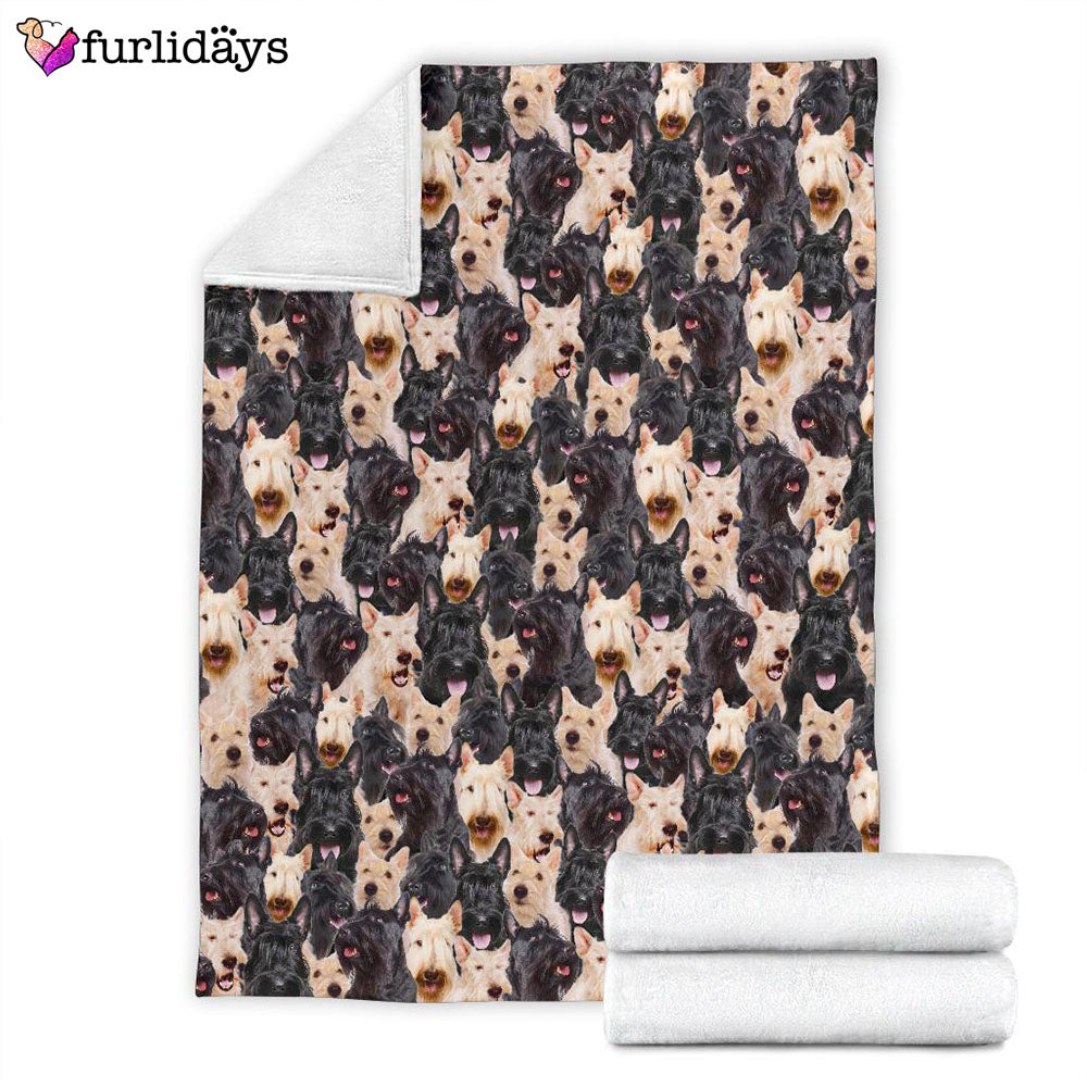 Dog Blanket Dog Face Blanket Dog Throw Blanket Scottish Terrier Full Face Blanket Furlidays 4 e19f9cfe 18e4 448f 8560 30048414c9c9 Dog Blanket Dog Face Blanket Dog Throw Blanket Scottish Terrier Full Face Blanket Furlidays 4 e19f9cfe 18e4 448f 8560 30048414c9c9