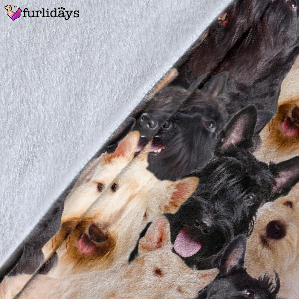 Dog Blanket Dog Face Blanket Dog Throw Blanket Scottish Terrier Full Face Blanket Furlidays 5 7fdb7af5 7497 4b73 a20f 571a61947a6e Dog Blanket Dog Face Blanket Dog Throw Blanket Scottish Terrier Full Face Blanket Furlidays 5 7fdb7af5 7497 4b73 a20f 571a61947a6e