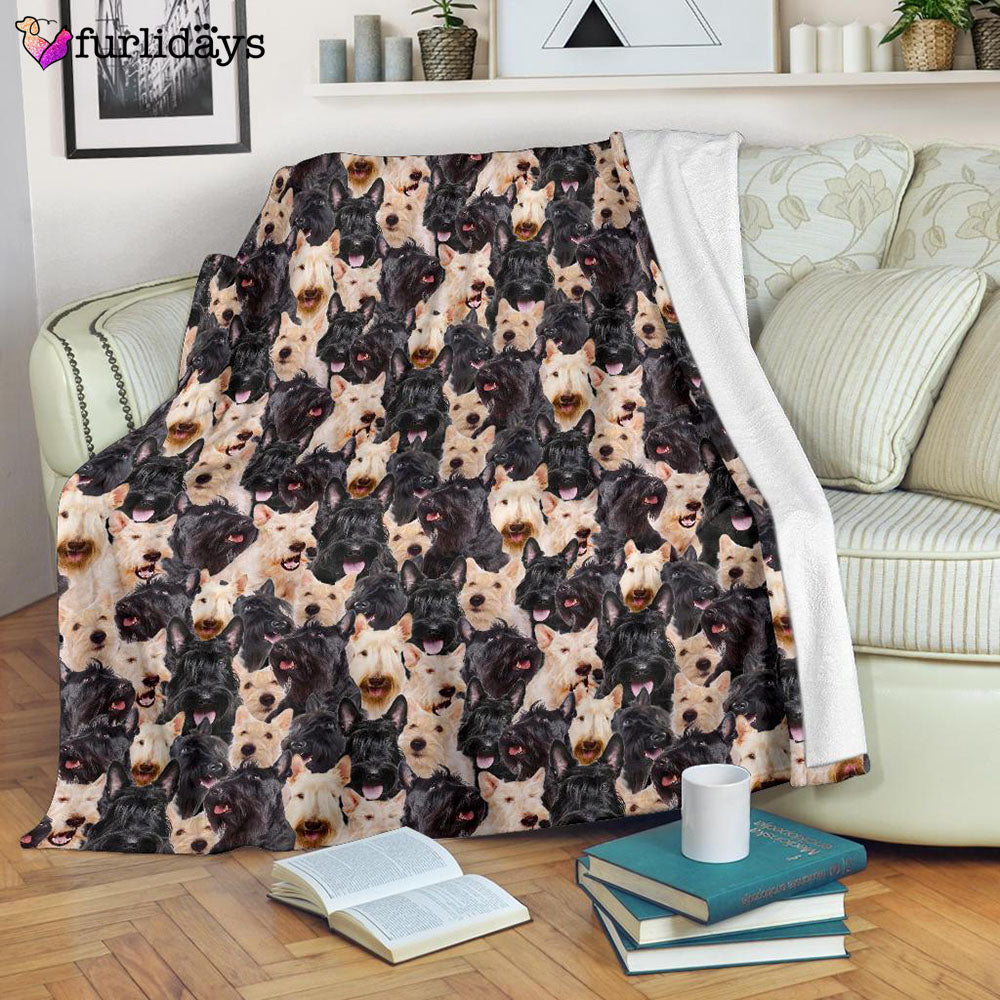 Dog Blanket Dog Face Blanket Dog Throw Blanket Scottish Terrier Full Face Blanket Furlidays 7 cb5e8713 064e 47a6 8bb6 cc918e0048a3 Dog Blanket Dog Face Blanket Dog Throw Blanket Scottish Terrier Full Face Blanket Furlidays 7 cb5e8713 064e 47a6 8bb6 cc918e0048a3