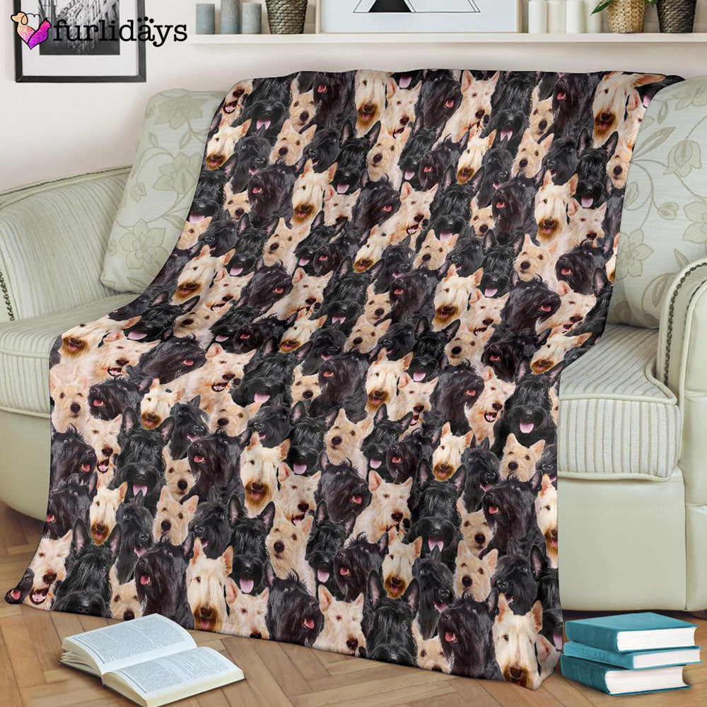 Dog Blanket Dog Face Blanket Dog Throw Blanket Scottish Terrier Full Face Blanket Furlidays 8 77628b59 5a00 4713 90be 84e5b21438f8 Dog Blanket Dog Face Blanket Dog Throw Blanket Scottish Terrier Full Face Blanket Furlidays 8 77628b59 5a00 4713 90be 84e5b21438f8