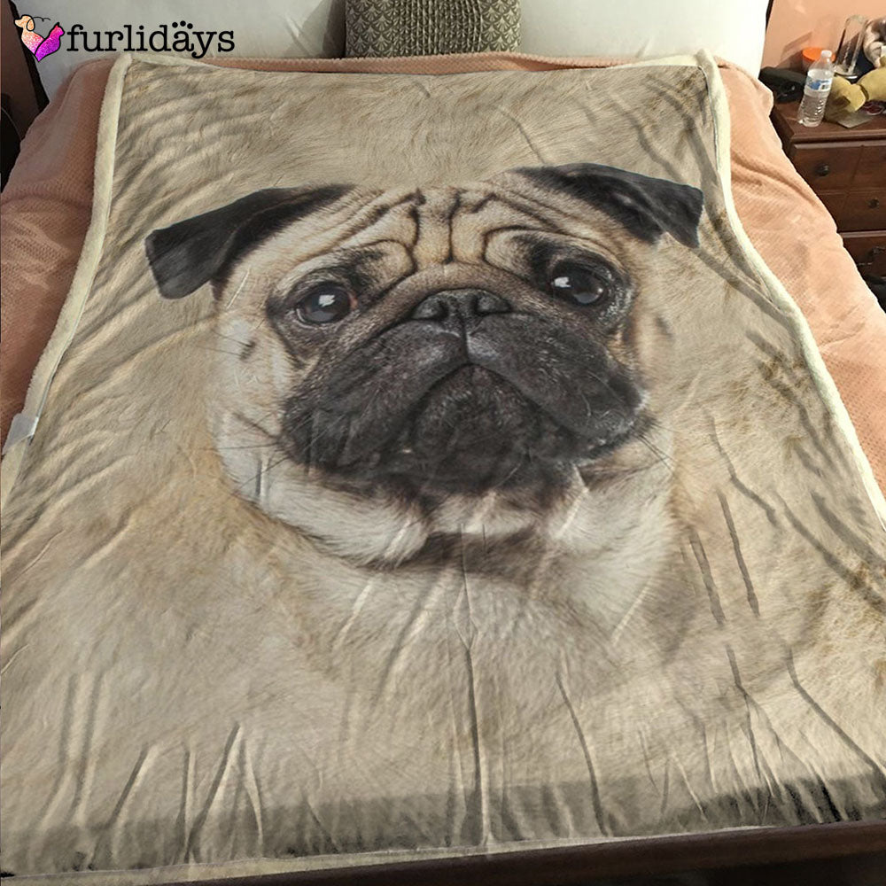 Dog Blanket Dog Face Blanket Dog Throw Blanket Smooth Collie Full Face Blanket Furlidays 1 Dog Blanket Dog Face Blanket Dog Throw Blanket Smooth Collie Full Face Blanket Furlidays 1