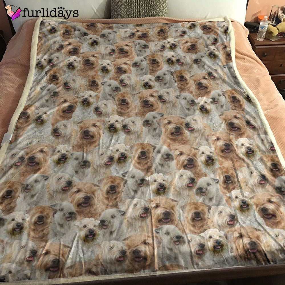 Dog Blanket Dog Face Blanket Dog Throw Blanket Soft Coated Wheaten Terrier Full Face Blanket Furlidays 1 Dog Blanket Dog Face Blanket Dog Throw Blanket Soft Coated Wheaten Terrier Full Face Blanket Furlidays 1