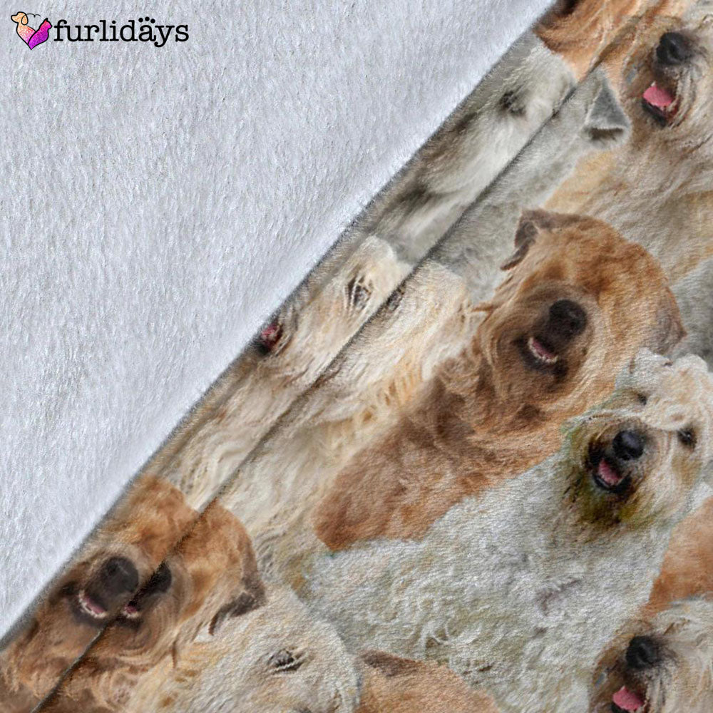 Dog Blanket Dog Face Blanket Dog Throw Blanket Soft Coated Wheaten Terrier Full Face Blanket Furlidays 5 Dog Blanket Dog Face Blanket Dog Throw Blanket Soft Coated Wheaten Terrier Full Face Blanket Furlidays 5
