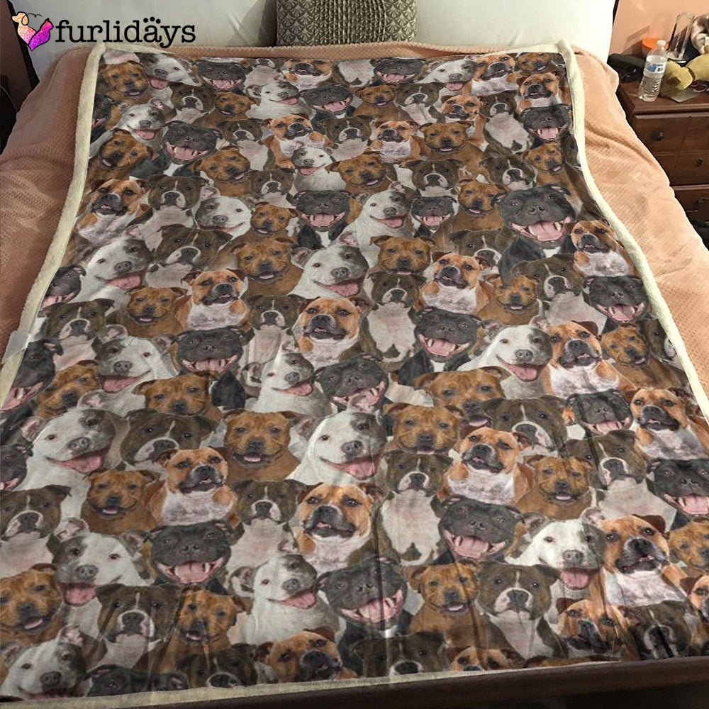 Dog Blanket Dog Face Blanket Dog Throw Blanket Staffordshire Bull Terrier Full Face Blanket Furlidays 1 Dog Blanket Dog Face Blanket Dog Throw Blanket Staffordshire Bull Terrier Full Face Blanket Furlidays 1