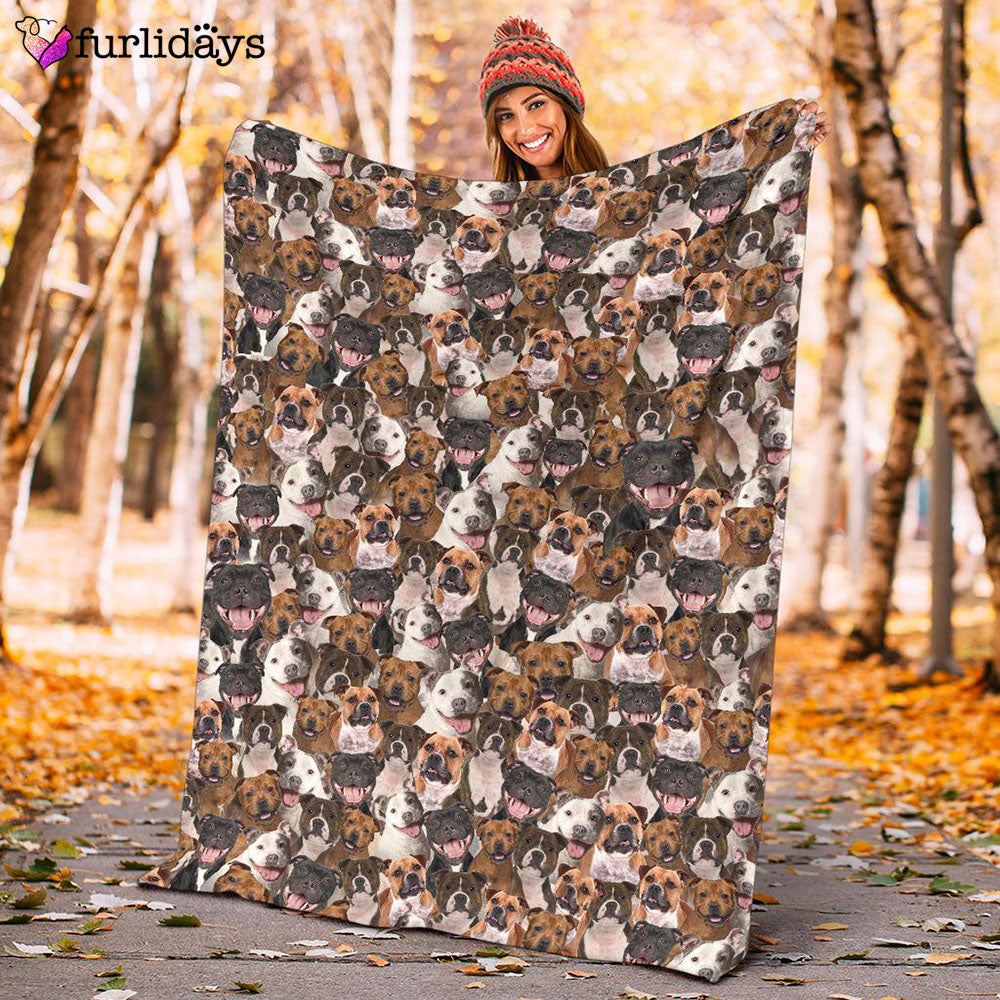 Dog Blanket Dog Face Blanket Dog Throw Blanket Staffordshire Bull Terrier Full Face Blanket Furlidays 10 Dog Blanket Dog Face Blanket Dog Throw Blanket Staffordshire Bull Terrier Full Face Blanket Furlidays 10