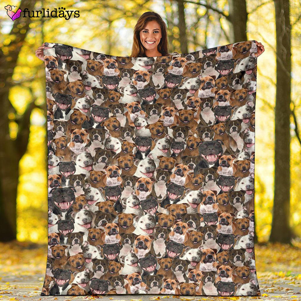 Dog Blanket Dog Face Blanket Dog Throw Blanket Staffordshire Bull Terrier Full Face Blanket Furlidays 2 Dog Blanket Dog Face Blanket Dog Throw Blanket Staffordshire Bull Terrier Full Face Blanket Furlidays 2