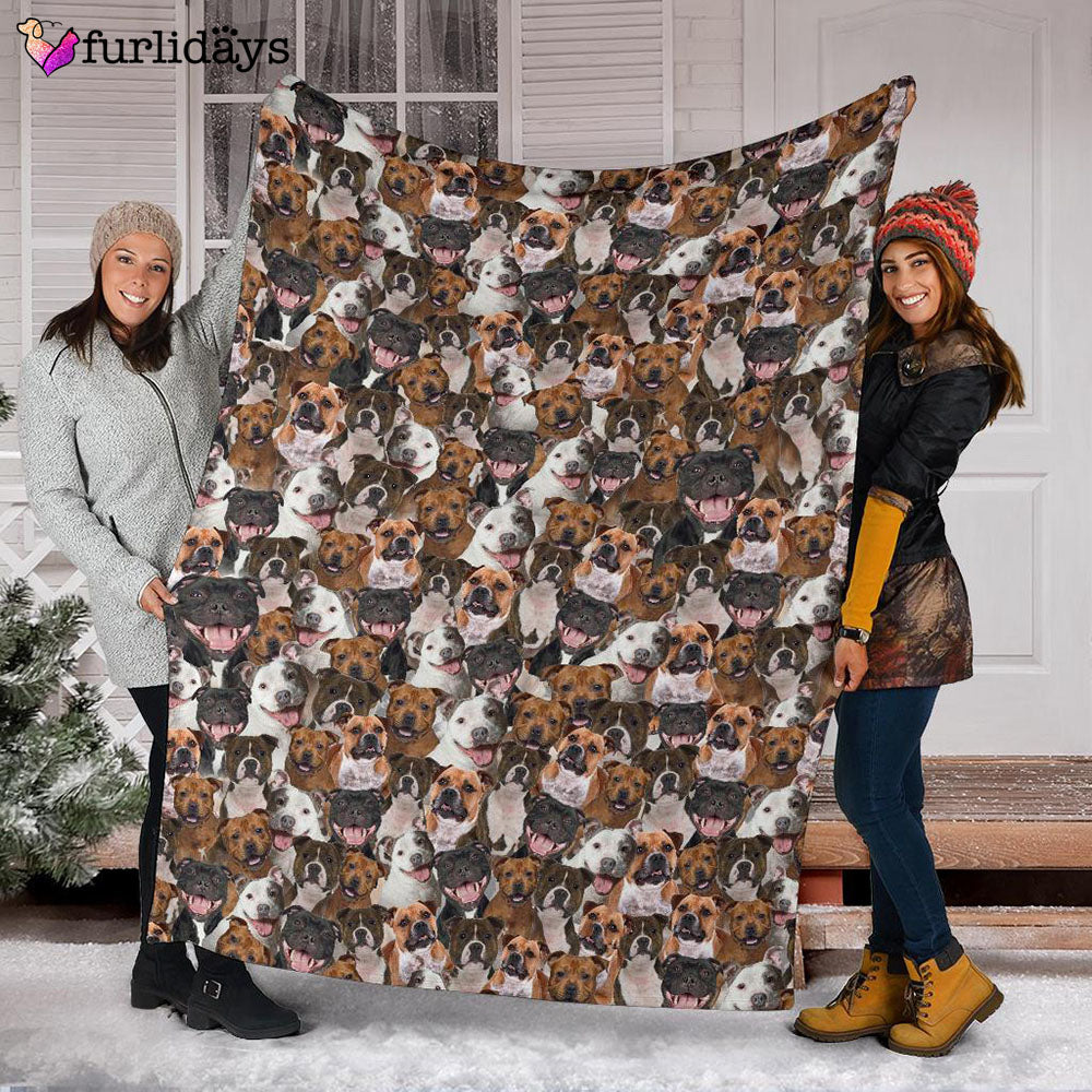 Dog Blanket Dog Face Blanket Dog Throw Blanket Staffordshire Bull Terrier Full Face Blanket Furlidays 3 Dog Blanket Dog Face Blanket Dog Throw Blanket Staffordshire Bull Terrier Full Face Blanket Furlidays 3