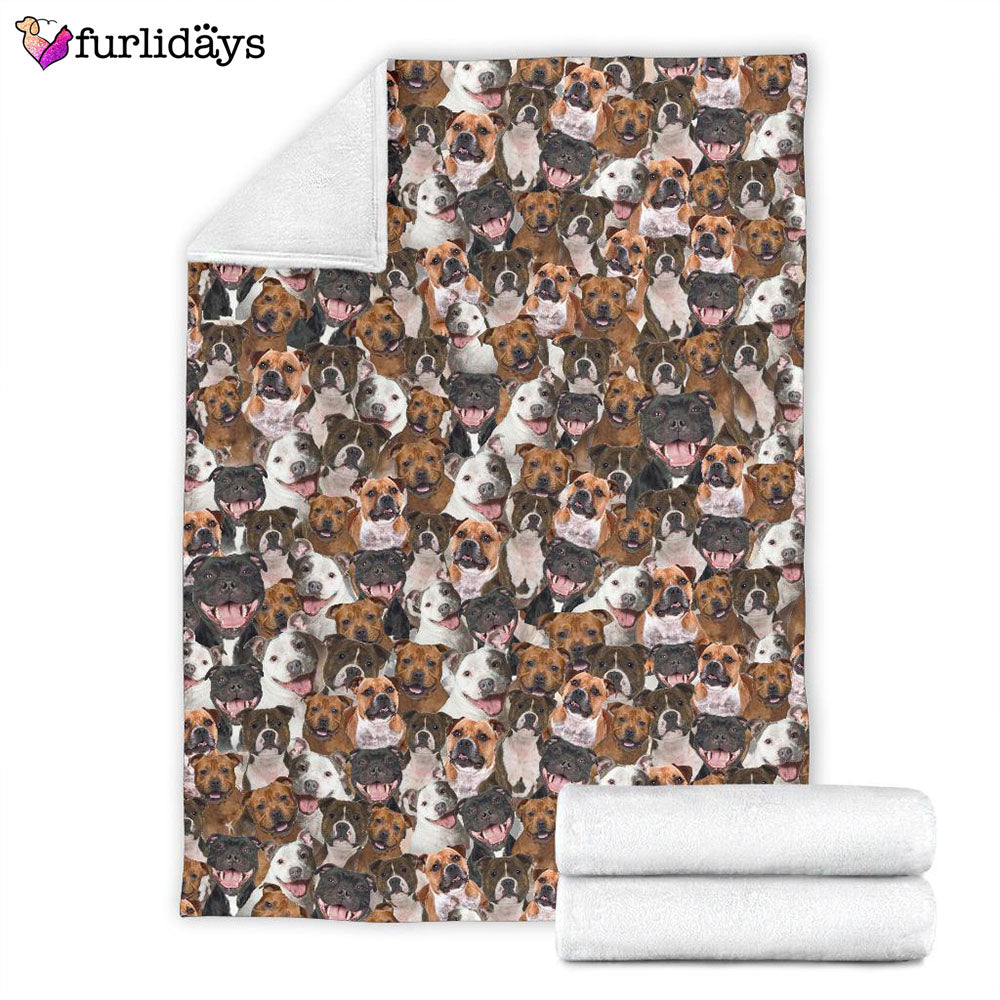Dog Blanket Dog Face Blanket Dog Throw Blanket Staffordshire Bull Terrier Full Face Blanket Furlidays 4 Dog Blanket Dog Face Blanket Dog Throw Blanket Staffordshire Bull Terrier Full Face Blanket Furlidays 4