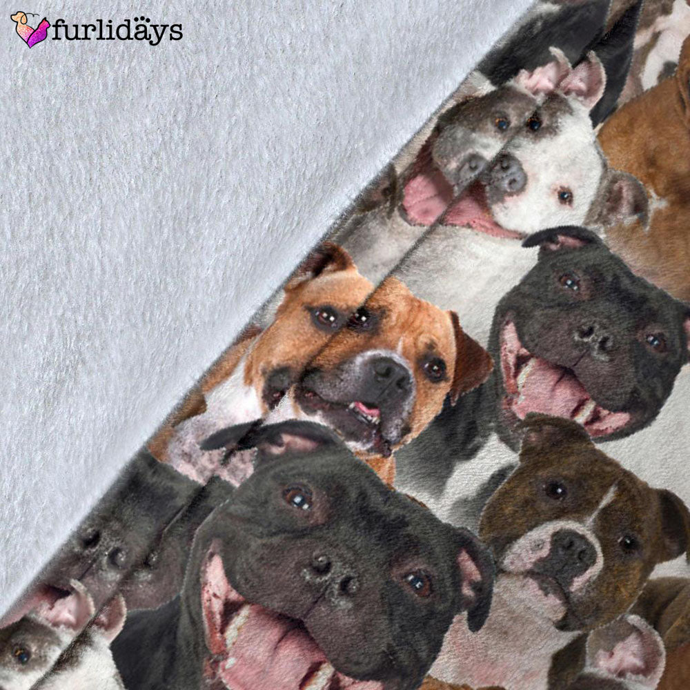 Dog Blanket Dog Face Blanket Dog Throw Blanket Staffordshire Bull Terrier Full Face Blanket Furlidays 5 Dog Blanket Dog Face Blanket Dog Throw Blanket Staffordshire Bull Terrier Full Face Blanket Furlidays 5