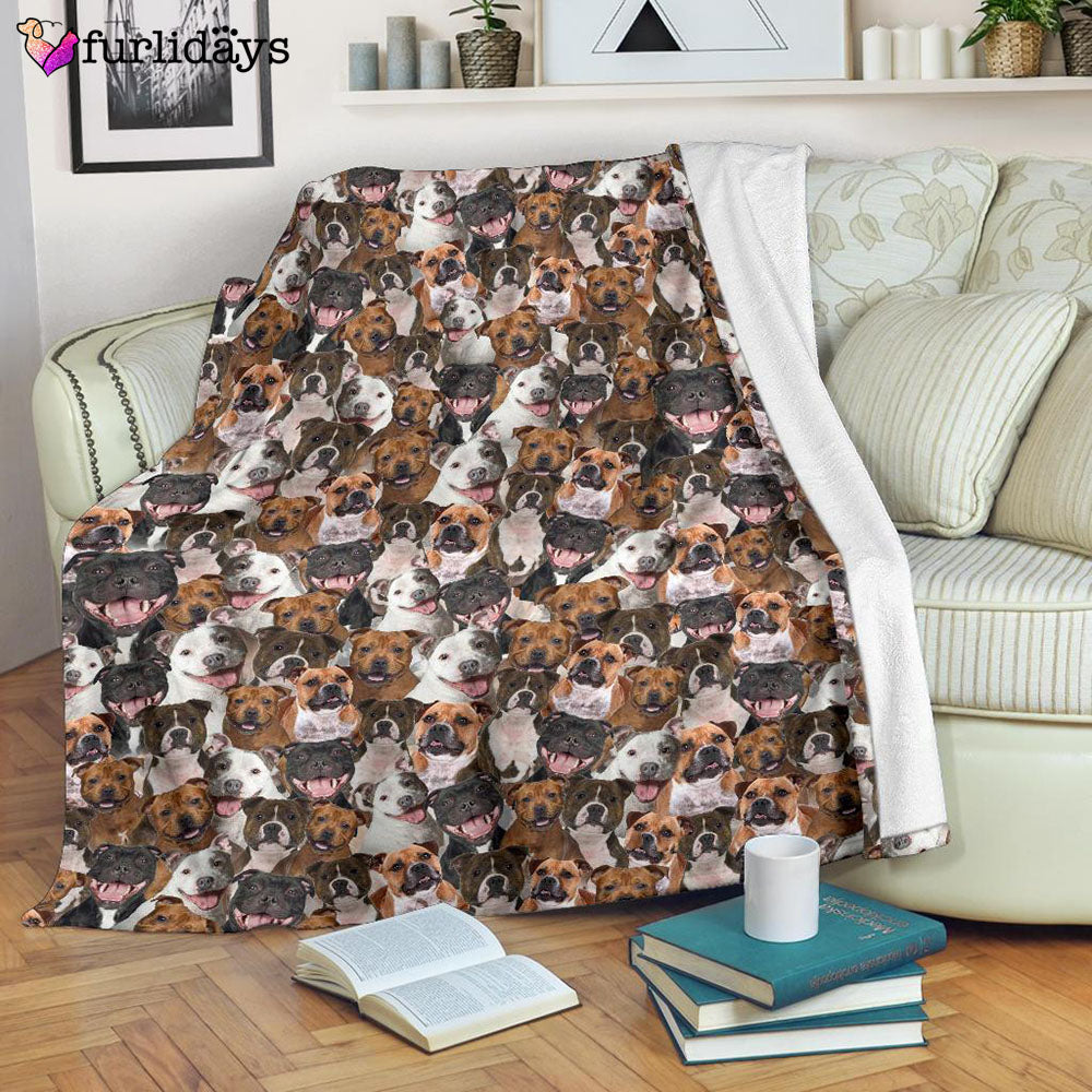 Dog Blanket Dog Face Blanket Dog Throw Blanket Staffordshire Bull Terrier Full Face Blanket Furlidays 7 Dog Blanket Dog Face Blanket Dog Throw Blanket Staffordshire Bull Terrier Full Face Blanket Furlidays 7