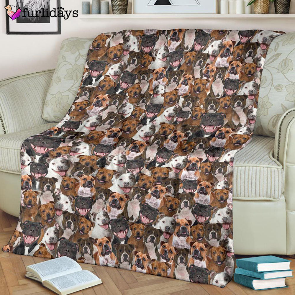 Dog Blanket Dog Face Blanket Dog Throw Blanket Staffordshire Bull Terrier Full Face Blanket Furlidays 8 Dog Blanket Dog Face Blanket Dog Throw Blanket Staffordshire Bull Terrier Full Face Blanket Furlidays 8