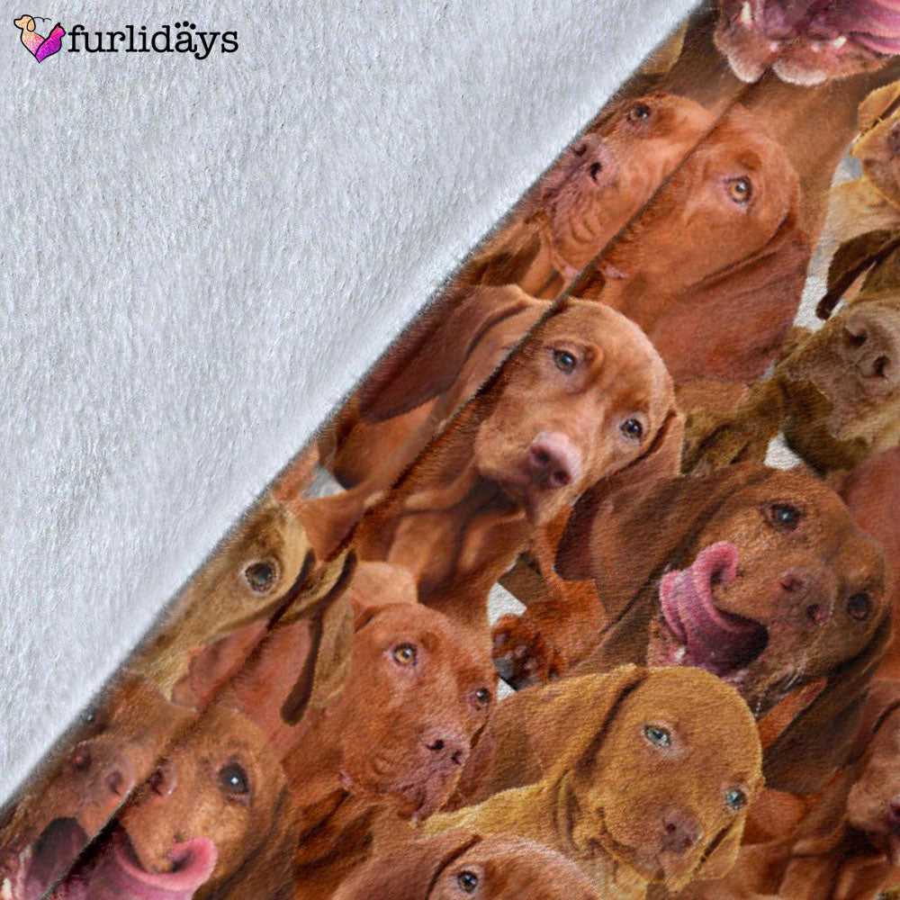 Dog Blanket Dog Face Blanket Dog Throw Blanket Vizsla Full Face Blanket Furlidays 5 627e4697 4966 43cc 8335 51cd5358b010