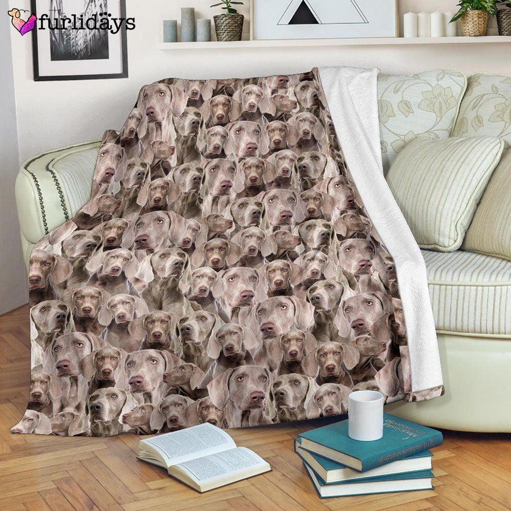 Dog Blanket Dog Face Blanket Dog Throw Blanket Weimaraner Full Face Blanket Furlidays 7 39f52365 45be 45d9 9e83 ef2e7176a6df
