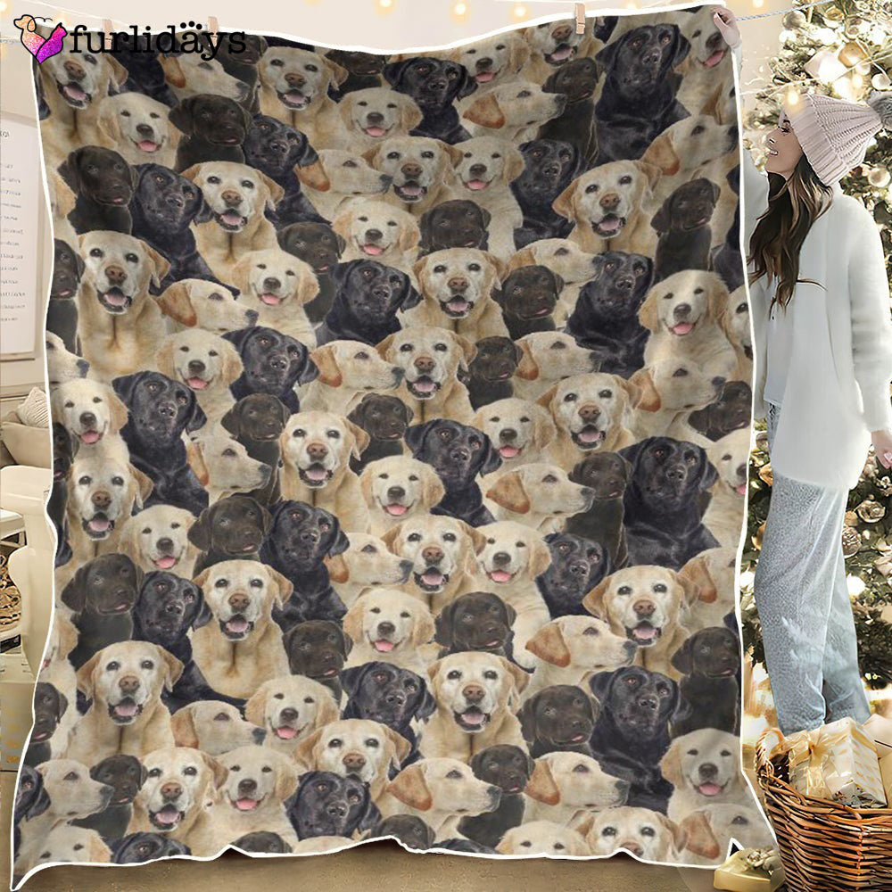 Dog Blanket Dog Face Blanket Dog Throw Blanket Whippet Full Face Blanket Furlidays 2 Dog Blanket Dog Face Blanket Dog Throw Blanket Whippet Full Face Blanket Furlidays 2