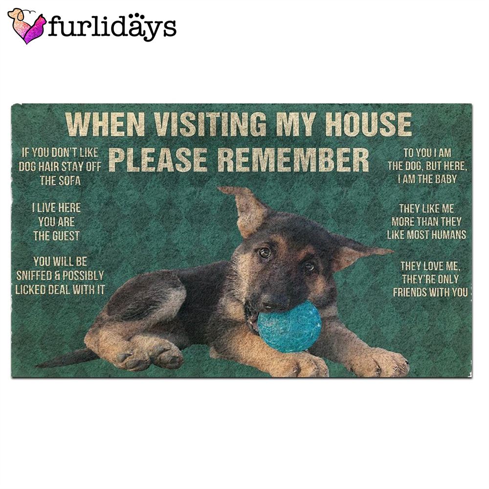Dog s Rules Doormat Christmas Gift For Pet Lovers Unique Gifts Doormat 2 Dog s Rules Doormat Christmas Gift For Pet Lovers Unique Gifts Doormat 2