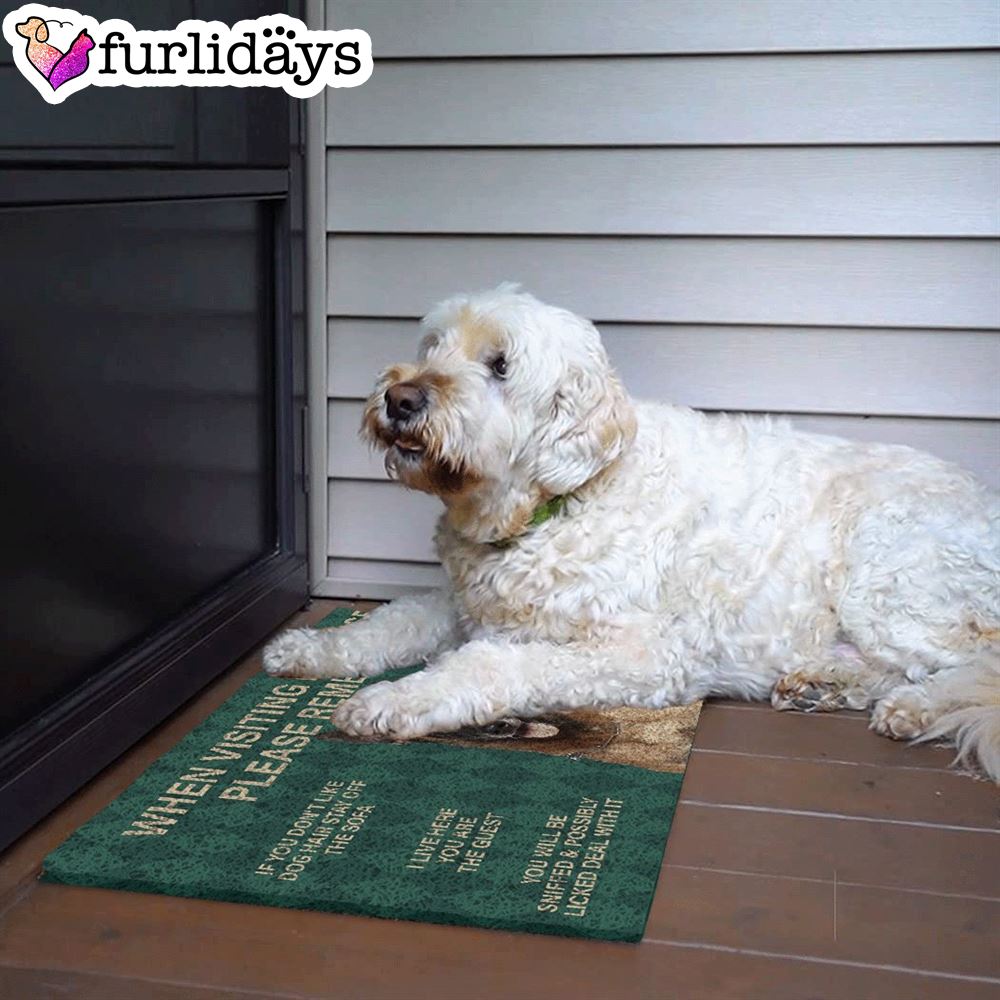 Dog s Rules Doormat Christmas Gift For Pet Lovers Unique Gifts Doormat 3 Dog s Rules Doormat Christmas Gift For Pet Lovers Unique Gifts Doormat 3