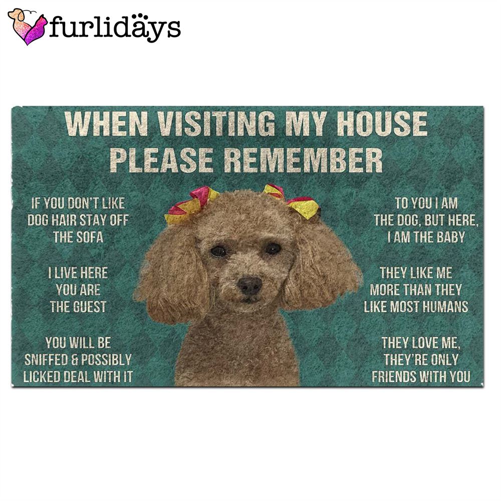 Dog s Rules Doormat Outdoor Decor Housewarming Gifts 2 Dog s Rules Doormat Outdoor Decor Housewarming Gifts 2