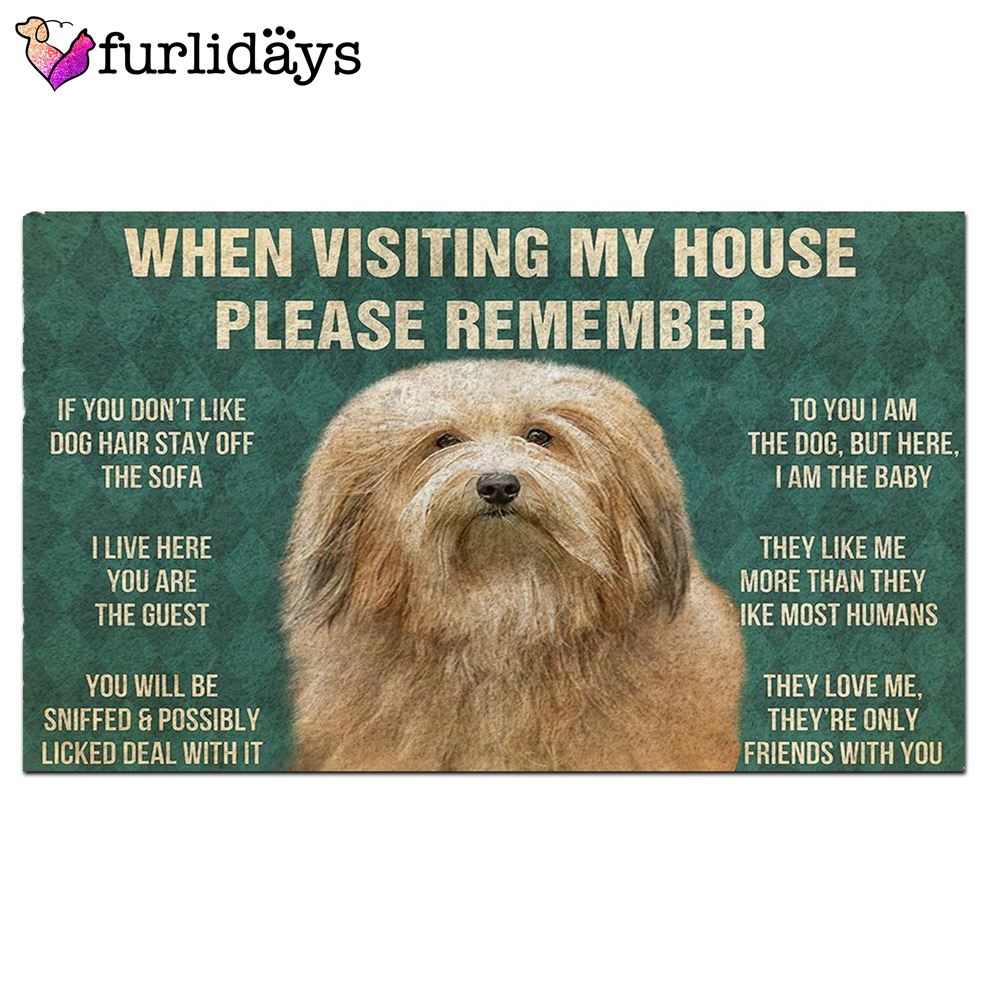 Havanese s Rules Doormat Funny Doormat Christmas Holiday Gift 2 Havanese s Rules Doormat Funny Doormat Christmas Holiday Gift 2