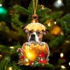 American Bulldog In Golden Egg Christmas Ornament Acrylic Dog Ornament Gifts For Dog Lovers 1 zjdjbl.jpg
