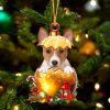 Basenji In Golden Egg Christmas Ornament Car Ornament Unique Dog Gifts For Owners 1 rai5zn.jpg