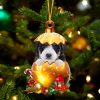 Bernedoodle In Golden Egg Christmas Ornament Car Ornament Unique Dog Gifts For Owners 1 jlaydz.jpg