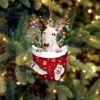 Bull Terrier 1 In Snow Pocket Christmas Ornament Two Sided Christmas Plastic Hanging 1 b5wlcq.jpg