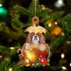 Cavalier King Charles Spaniel In Golden Egg Christmas Ornament Car Ornament Unique Dog Gifts For Owners 1 jernxv.jpg