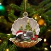 German Shorthaired Pointer3 Sleeping Pearl in Christmas Two Sided Ornament Christmas Ornaments For Dog Lovers 1 xo9e6q.jpg