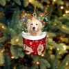 Golden Retriever In Snow Pocket Christmas Ornament Two Sided Christmas Plastic Hanging 1 fe3zvg.jpg