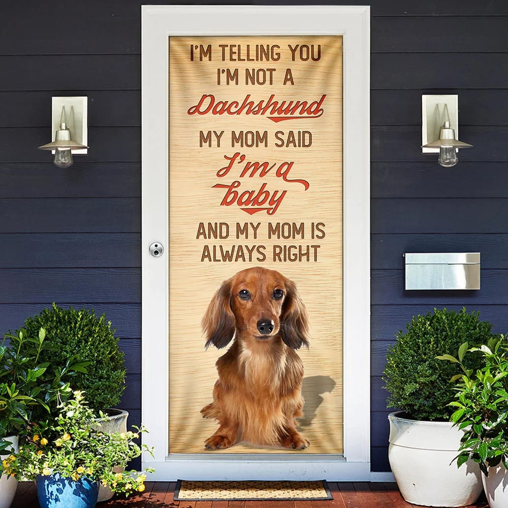 My Mom Said I m A Baby Dachshund Door Cover Xmas Outdoor Decoration Gifts For Dog Lovers 2 My Mom Said I m A Baby Dachshund Door Cover Xmas Outdoor Decoration Gifts For Dog Lovers 2
