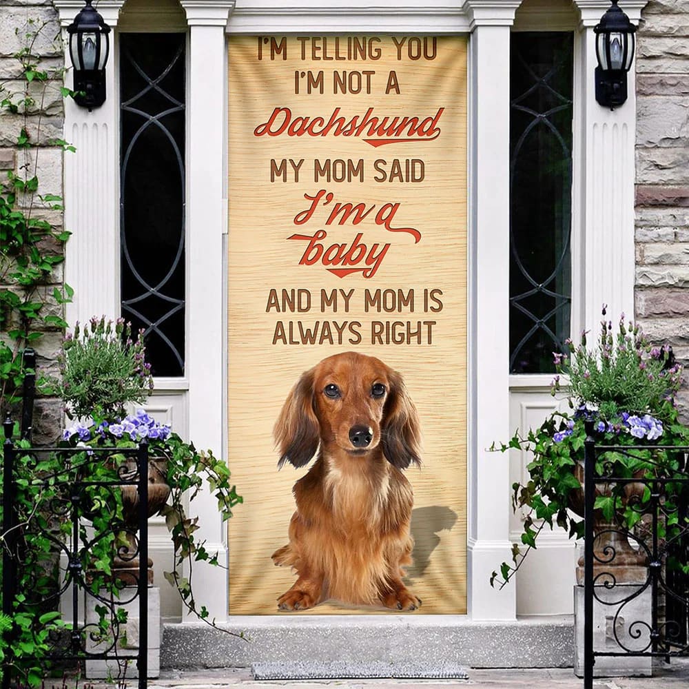 My Mom Said I m A Baby Dachshund Door Cover Xmas Outdoor Decoration Gifts For Dog Lovers 3 My Mom Said I m A Baby Dachshund Door Cover Xmas Outdoor Decoration Gifts For Dog Lovers 3
