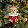 Poochon In Snow Pocket Christmas Ornament Two Sided Christmas Plastic Hanging 1 ls9lly.jpg